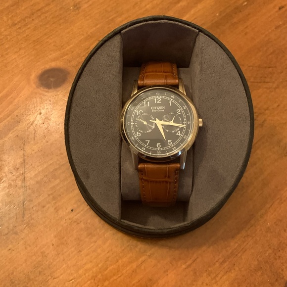 Analog Citizens Eco-Drive Men’s Watch